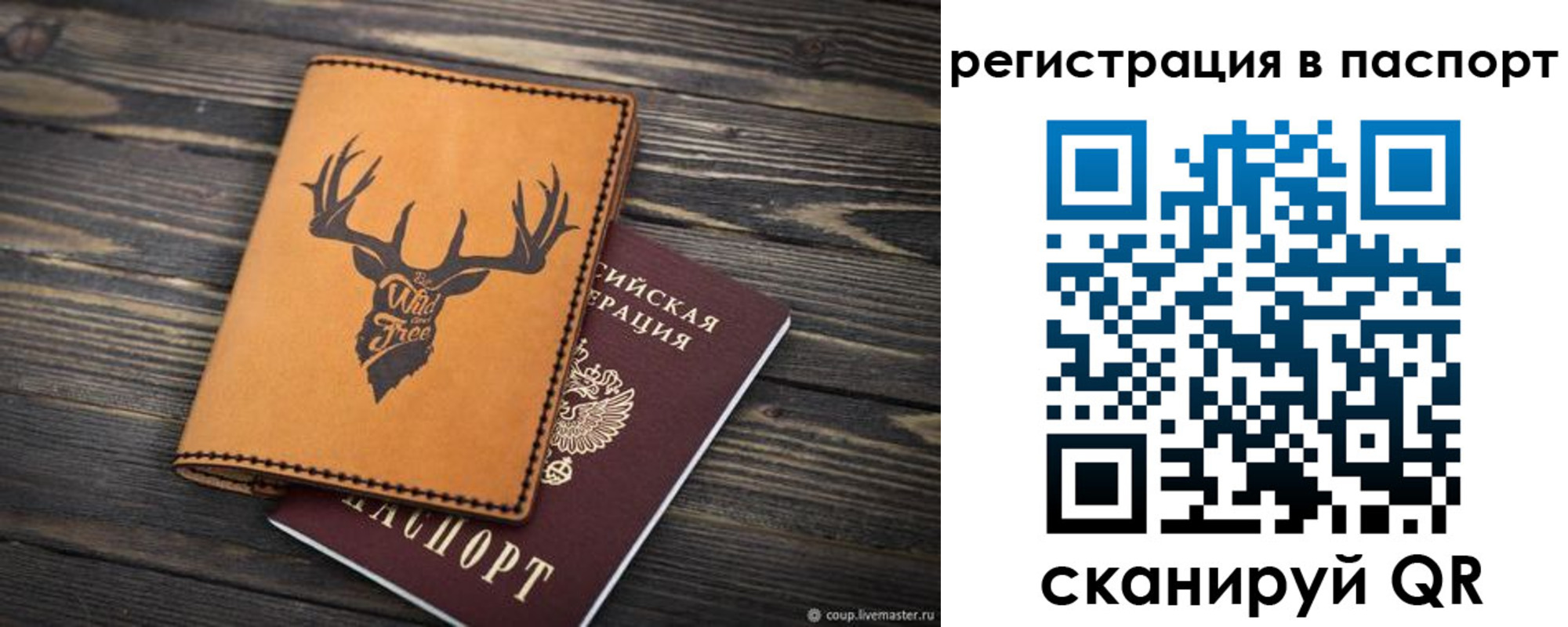 прописка паспорт в Соколе